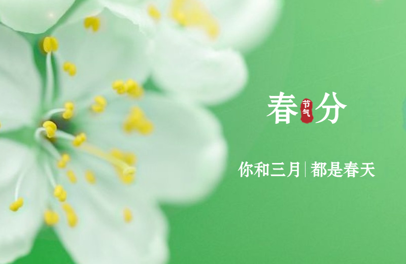 天津今日春分丨花已开,春已至